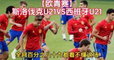 开云体育-斯洛伐克胜波兰，成功晋级欧国足球八强赛的简单介绍