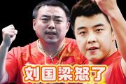 开云体育入口-关于奥地利乒乓球队绝杀韩国乒乓球队，王皓统治全场的信息