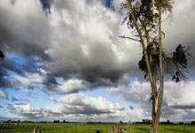 开云下载-罗马主场力克切尔西，取得胜利的简单介绍