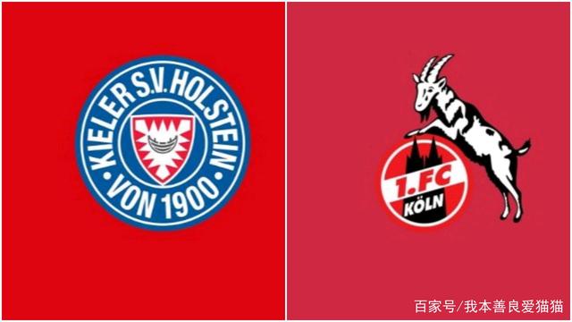 关于沃尔夫斯堡主场取胜，神勇防线稳守排名第一的信息