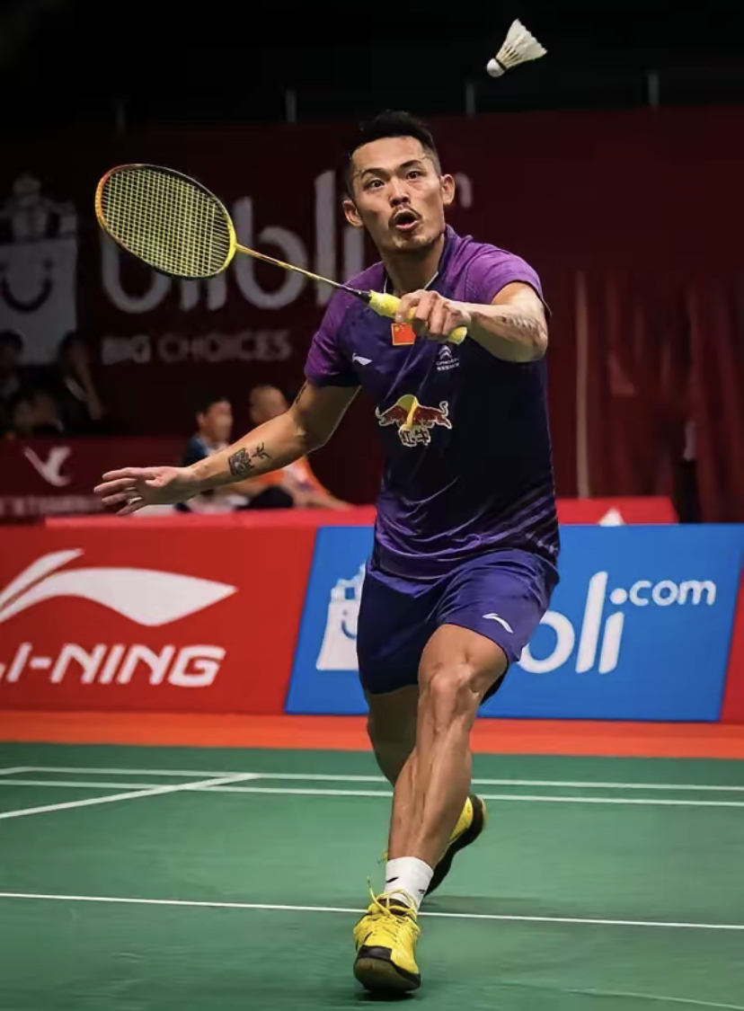 日本羽毛球队轻取印度羽毛球队，林丹惊艳世界的简单介绍