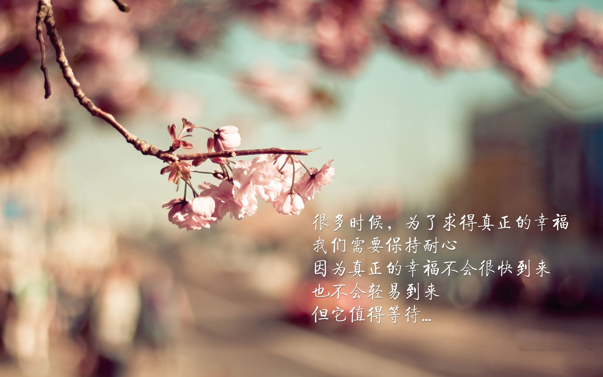 意甲焦点战之夜，无解锋芒刺破夜幕