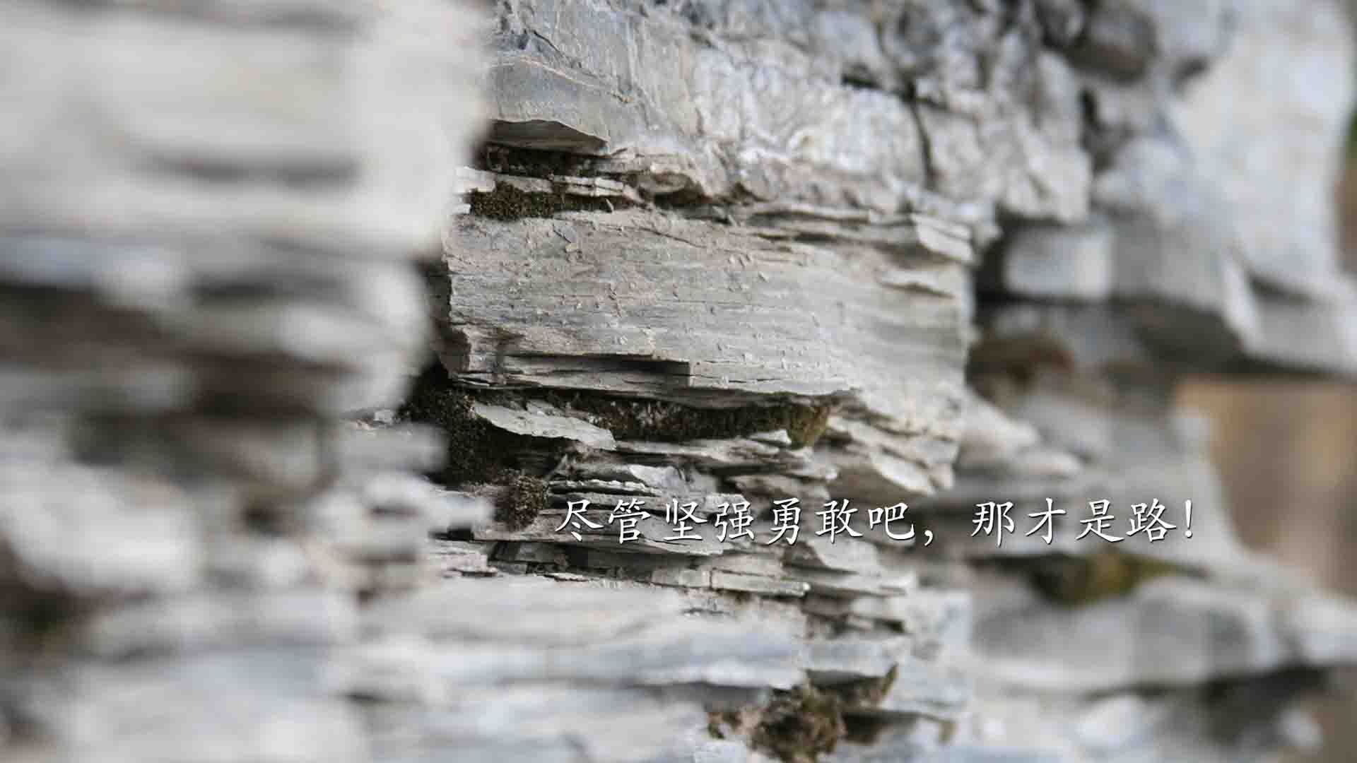 新疆队对阵北京队，文班亚马持续制造杀伤，内线统治力决定胜负