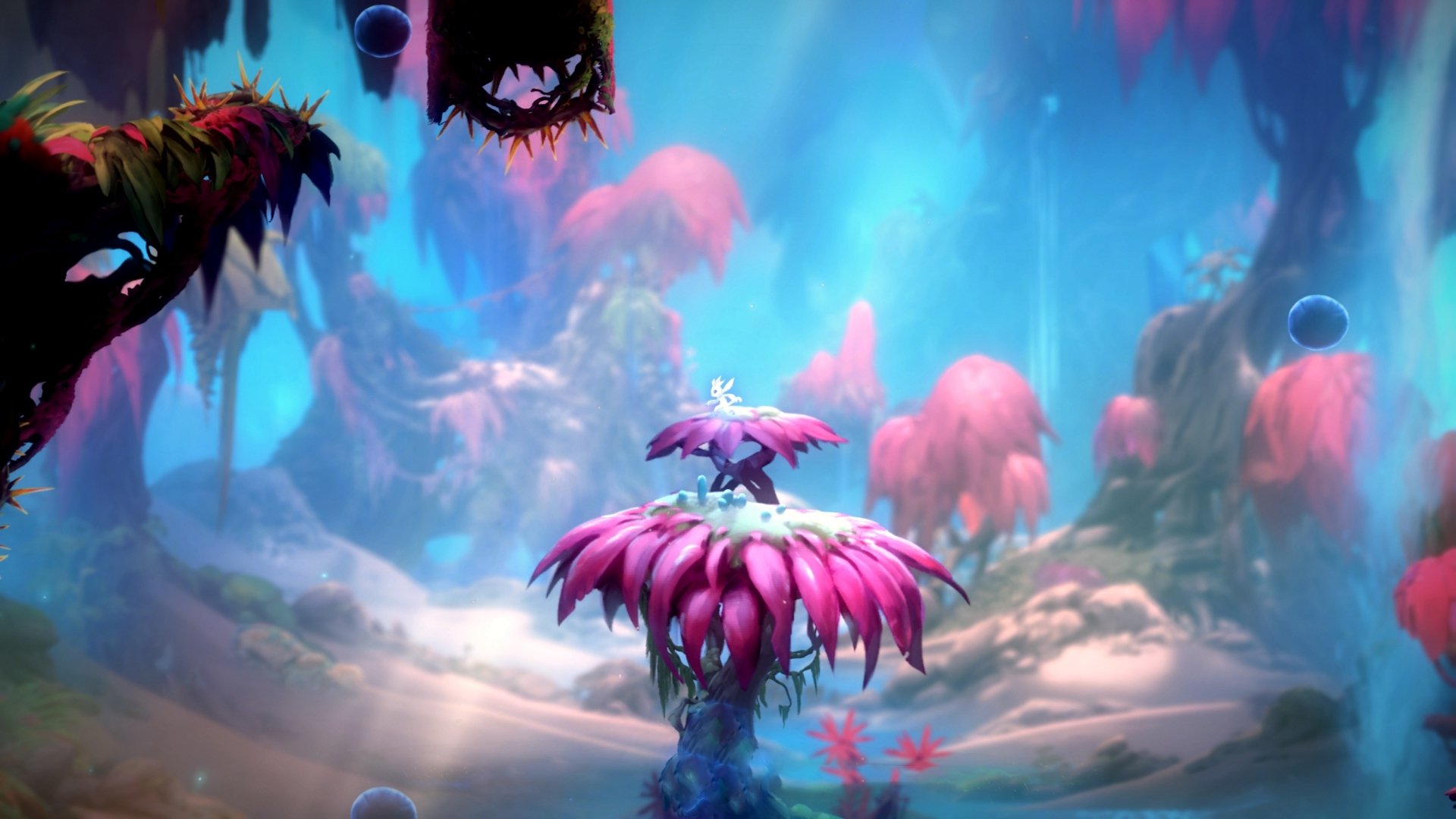 卡塞米罗用一记抢七绝杀，刻下葡萄牙王朝最惊险的注脚