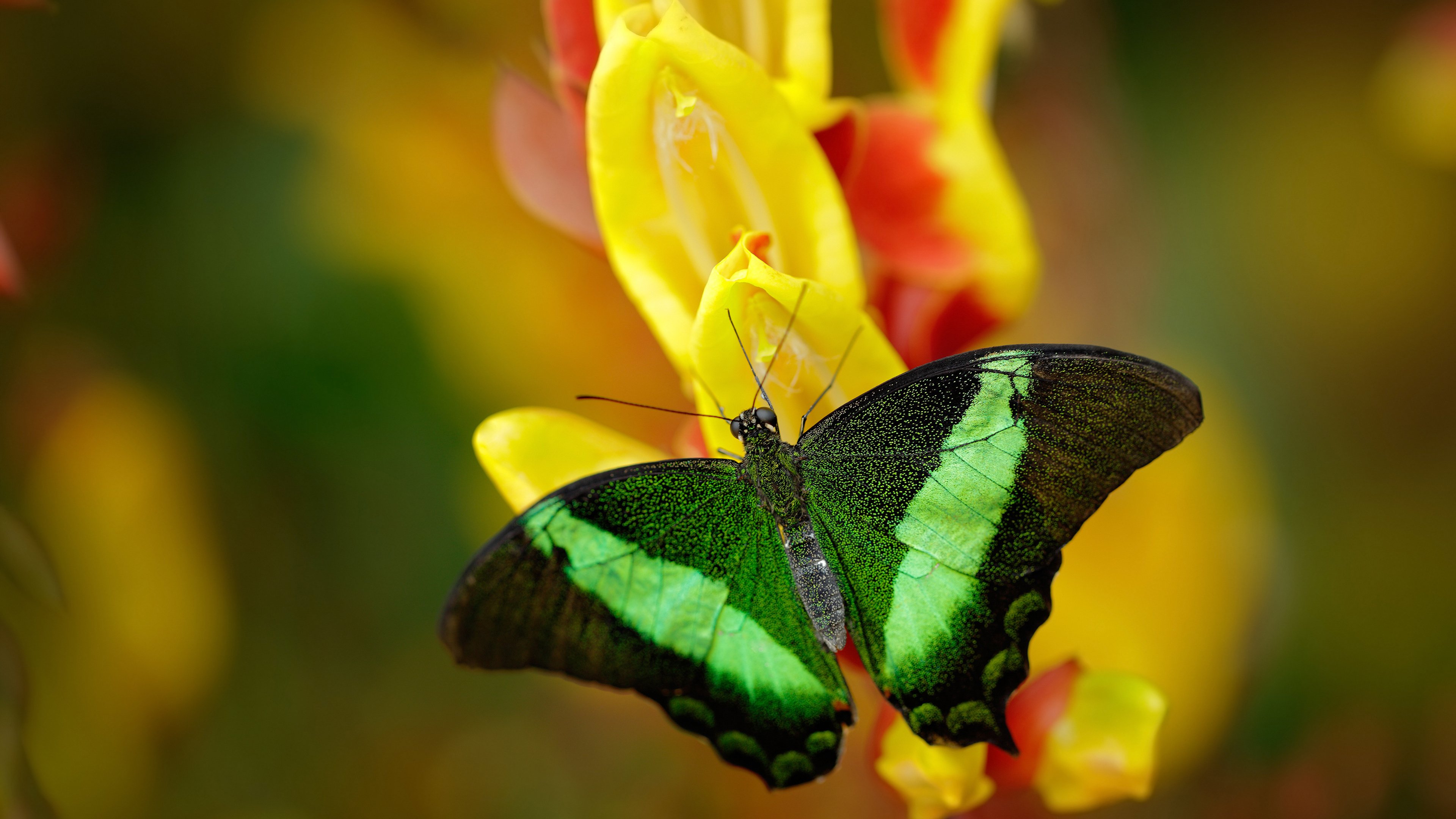 个体与集体，足球场上的存在感辩证法