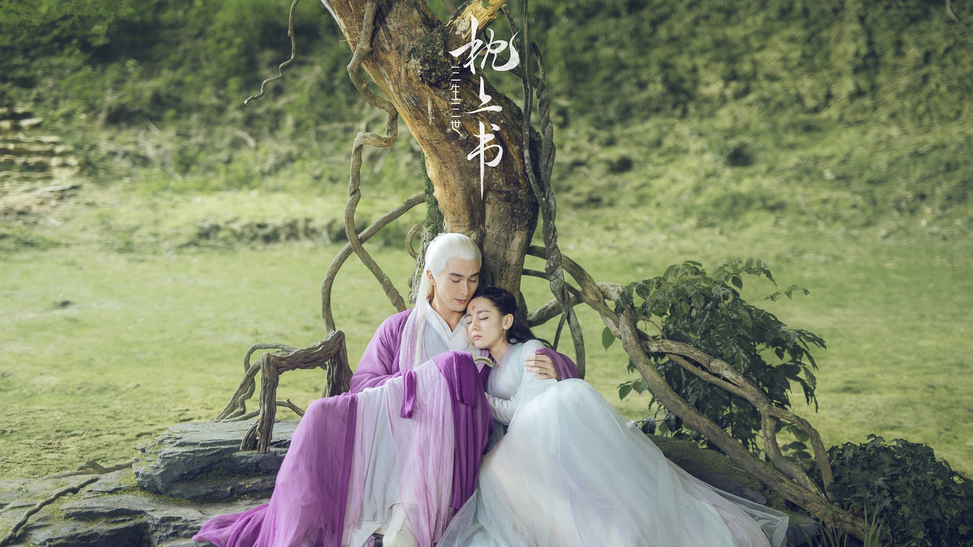 关键先生武切维奇,尼克斯压制灰熊的战术密码