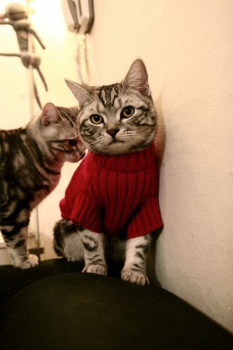 双重封锁,从巴林赛道到欧联战场,竞技体育的终极博弈