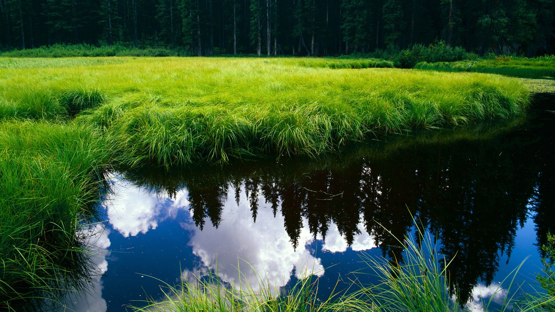 钢铁防线与致命一击，阿坎吉统治全场，马赛绝境逆袭皇马