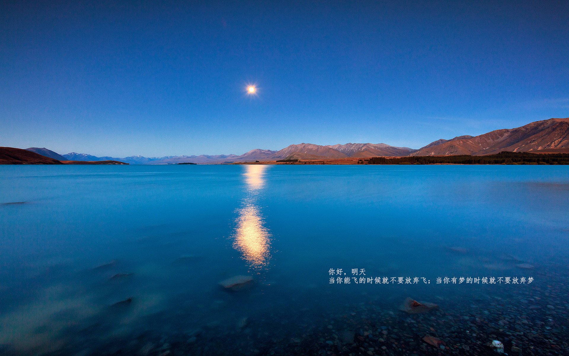 东决关键焦点战，勒沃库森3-0打穿乌克兰，德甲雄风震撼欧陆